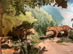 -重庆中国三峡博物馆(重庆博物馆)