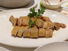 -侨美食家·40年地道粤菜(珠江新城店)
