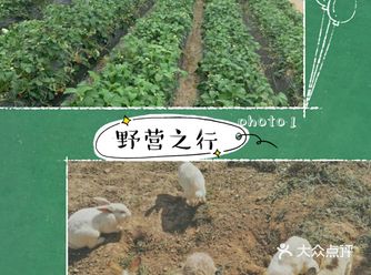 和孩子一起体验夏日野外搭帐篷的快乐