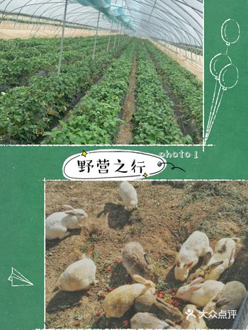 和孩子一起体验夏日野外搭帐篷的快乐