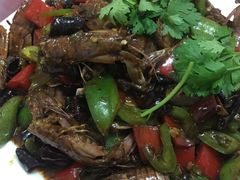 -烁佳海鲜大馅饺子