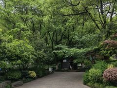 -杭州半山国家森林公园