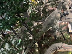 -湖南省地质博物馆