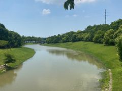 -上海海湾国家森林公园