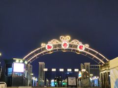 -武汉知音号