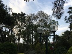 -九龙公园