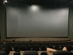 -天幕新彩云国际影城(激光巨幕店)