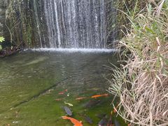 -千岛湖东南湖区