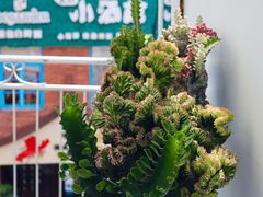 -Eckl’s爱氏热狗(猫街店)