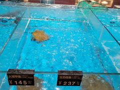 -艳阳天·非遗楚菜(武汉客厅店)