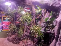 -正佳雨林生态植物园