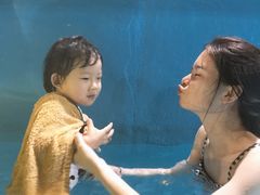 -热带风暴水上乐园(新镇路)