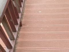 -石燕湖生态旅游景区