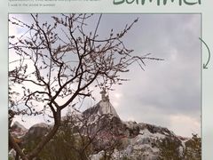-上海海昌海洋公园