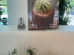 -云溪植物园