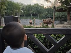 -石家庄市动物园