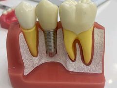 -牙博士口腔品牌连锁(杨浦店)