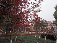 -辛亥革命博物院北区