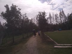 -前小桔亲子创意农场·草莓采摘·露营烧烤