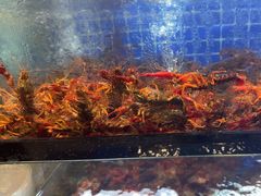 -火龙堂·风味民间菜(文一路店)