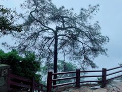 -缙云山景区