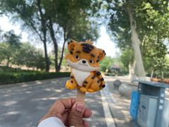 -石家庄市动物园