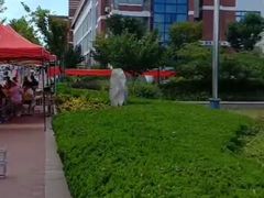 -山东外贸职业学院