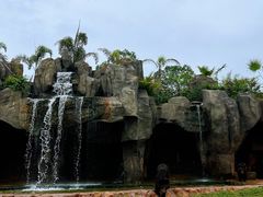 -海南热带野生动植物园