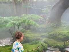 -Chom Cafe and Restaurant