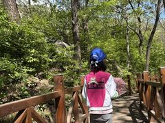 -大岭沟猕猴桃谷风景区
