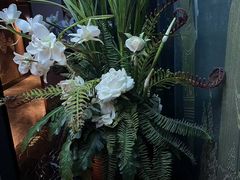 -陆琴脚艺·足浴·SPA(夫子庙店)