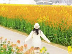 -中国天府农业博览园