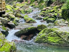 -本溪汤沟绿石谷森林公园