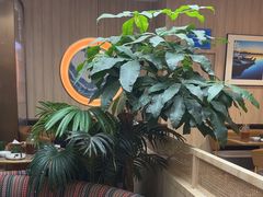 -云海肴·汽锅鸡·云南菜(广安门天虹店)