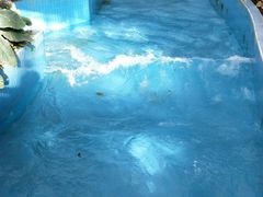 -龙脉温泉室内游泳馆