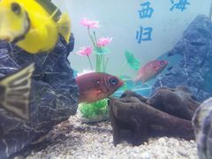 -烟台海昌鲸鲨海洋公园