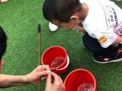 -迪茵湖田家舍生态农场