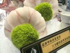 -嘉芸荟酒楼(步步高店)