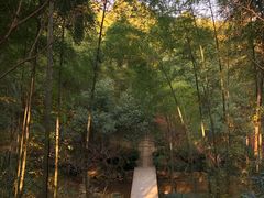 -杭州半山国家森林公园