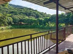 -大屏嶂森林公园