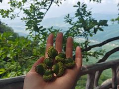 -五女山景区