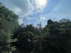 -圣淘沙天际线斜坡滑车