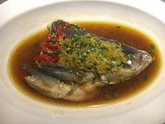 剁椒鱼头-大碗厨 25年老字号 现炒湘菜(四季天地店)