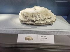 -河东池盐文化博览园