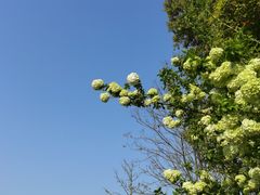 -杭州城北体育公园