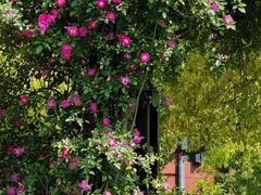 -上海交通大学(闵行校区)