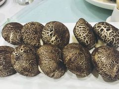 -西兰轩清真菜馆(北顺城街店)