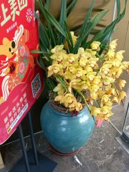 -蓝调造型·烫发·染发