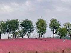 -汉长安城未央宫国家考古遗址公园