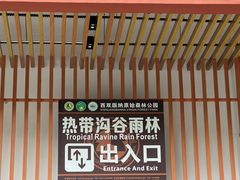-西双版纳原始森林公园